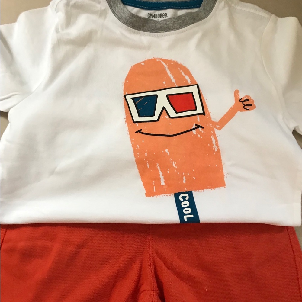 Gymboree set size 5t